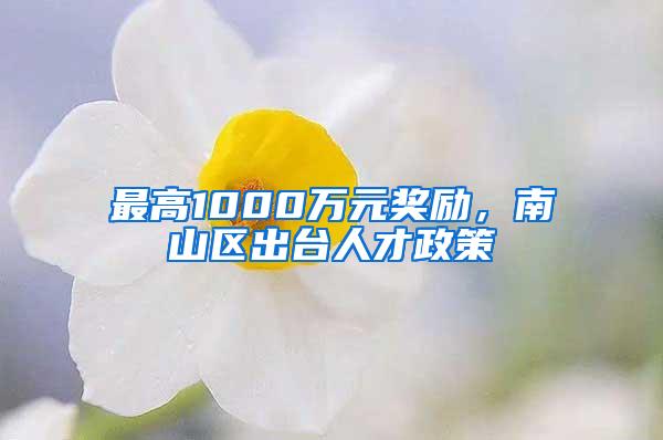 最高1000万元奖励，南山区出台人才政策