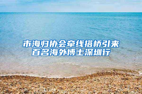 市海归协会牵线搭桥引来百名海外博士深圳行