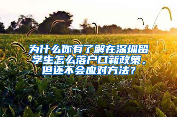 为什么你有了解在深圳留学生怎么落户口新政策，但还不会应对方法？