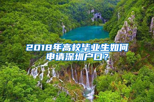 2018年高校毕业生如何申请深圳户口？