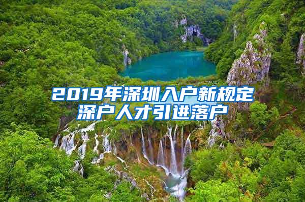 2019年深圳入户新规定深户人才引进落户