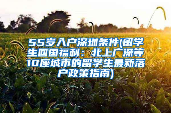 55岁入户深圳条件(留学生回国福利：北上广深等10座城市的留学生最新落户政策指南)