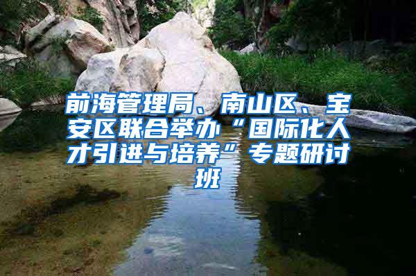 前海管理局、南山区、宝安区联合举办“国际化人才引进与培养”专题研讨班