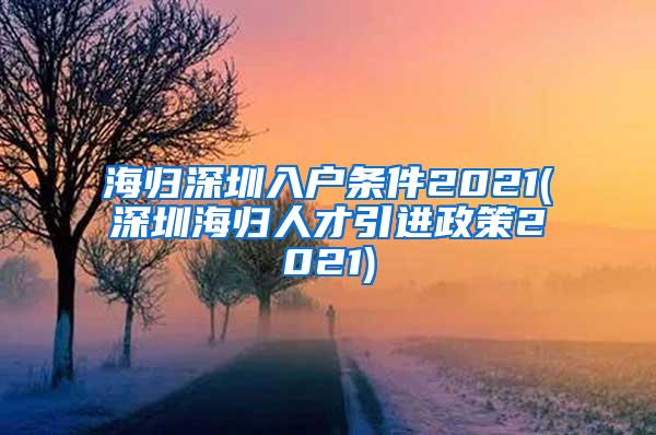 海归深圳入户条件2021(深圳海归人才引进政策2021)