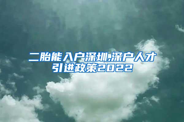 二胎能入户深圳,深户人才引进政策2022