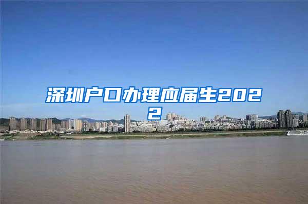 深圳户口办理应届生2022