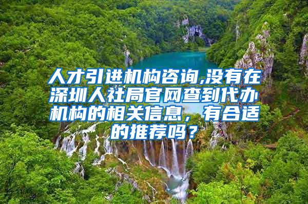 人才引进机构咨询,没有在深圳人社局官网查到代办机构的相关信息，有合适的推荐吗？