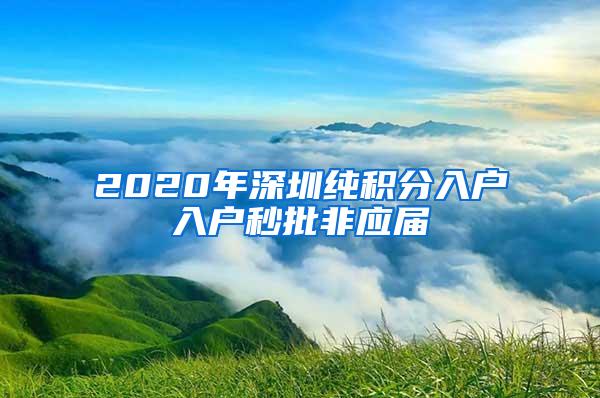 2020年深圳纯积分入户入户秒批非应届