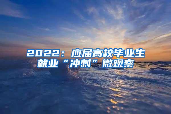 2022：应届高校毕业生就业“冲刺”微观察