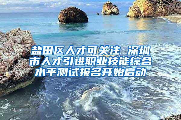 盐田区人才可关注 深圳市人才引进职业技能综合水平测试报名开始启动