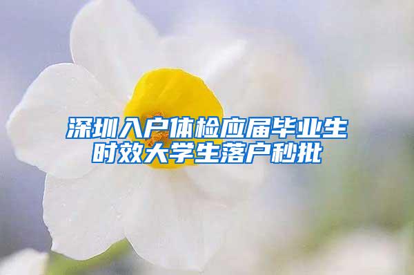 深圳入户体检应届毕业生时效大学生落户秒批