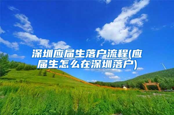 深圳应届生落户流程(应届生怎么在深圳落户)