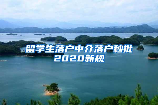 留学生落户中介落户秒批2020新规