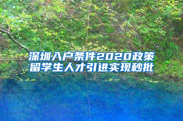 深圳入户条件2020政策留学生人才引进实现秒批