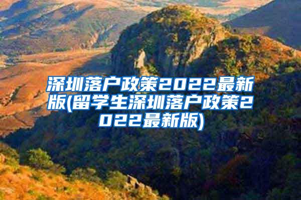 深圳落户政策2022最新版(留学生深圳落户政策2022最新版)