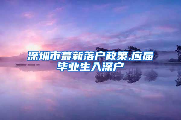 深圳市蕞新落户政策,应届毕业生入深户