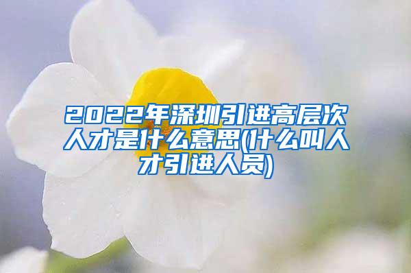 2022年深圳引进高层次人才是什么意思(什么叫人才引进人员)