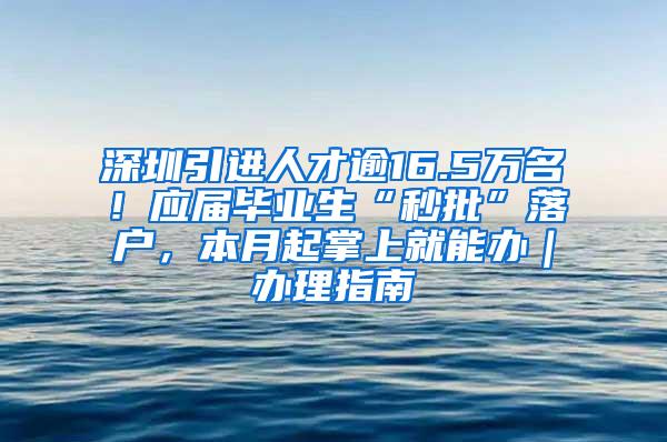 深圳引进人才逾16.5万名！应届毕业生“秒批”落户，本月起掌上就能办｜办理指南