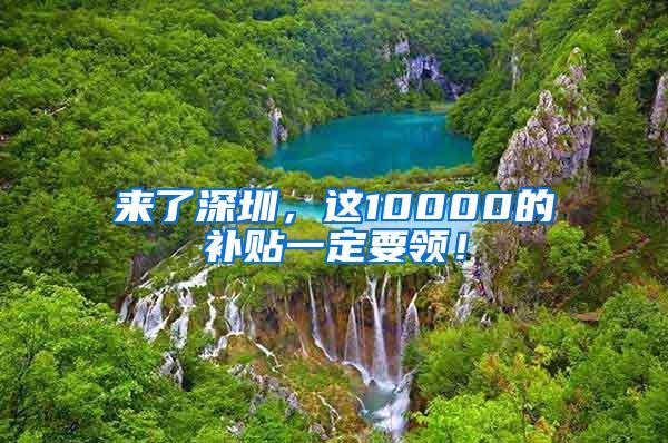 来了深圳，这10000的补贴一定要领！