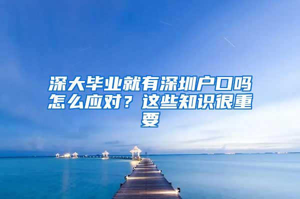 深大毕业就有深圳户口吗怎么应对？这些知识很重要