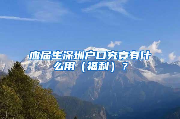 应届生深圳户口究竟有什么用（福利）？