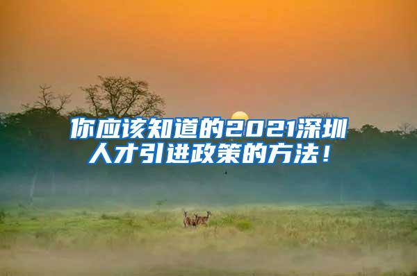 你应该知道的2021深圳人才引进政策的方法！