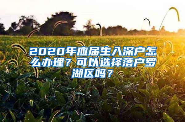 2020年应届生入深户怎么办理？可以选择落户罗湖区吗？