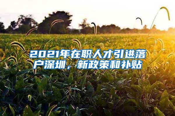 2021年在职人才引进落户深圳，新政策和补贴