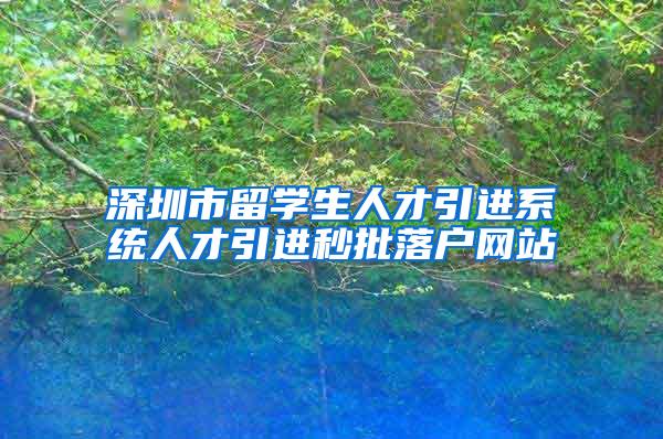 深圳市留学生人才引进系统人才引进秒批落户网站