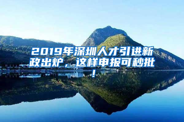 2019年深圳人才引进新政出炉，这样申报可秒批！