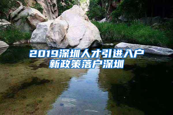 2019深圳人才引进入户新政策落户深圳