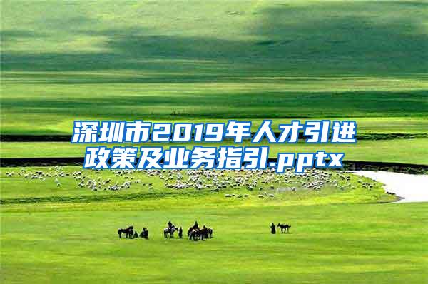 深圳市2019年人才引进政策及业务指引.pptx