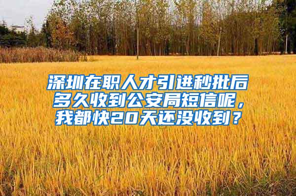 深圳在职人才引进秒批后多久收到公安局短信呢，我都快20天还没收到？