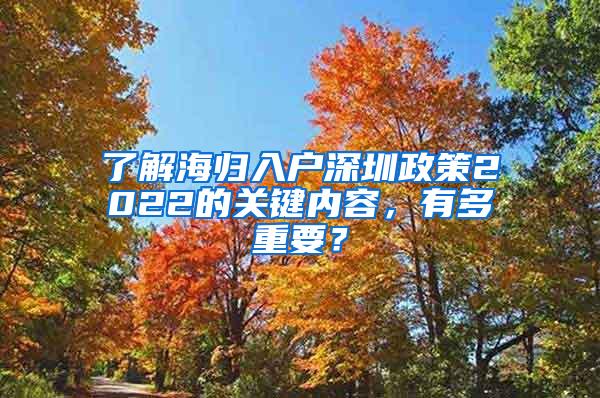 了解海归入户深圳政策2022的关键内容，有多重要？