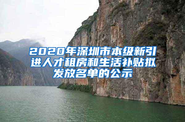 2020年深圳市本级新引进人才租房和生活补贴拟发放名单的公示