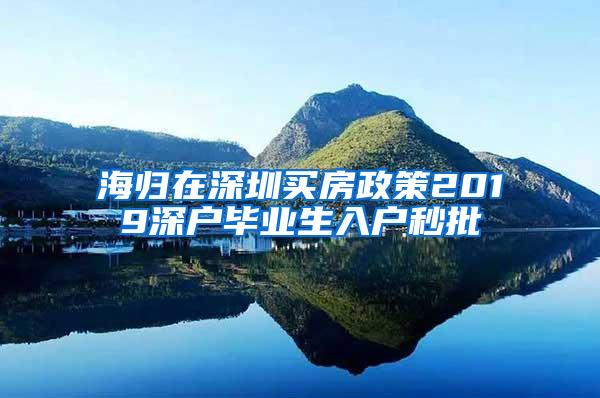 海归在深圳买房政策2019深户毕业生入户秒批