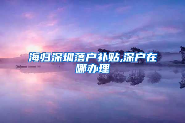 海归深圳落户补贴,深户在哪办理