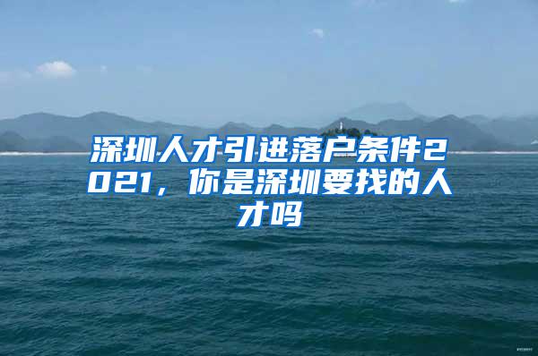 深圳人才引进落户条件2021，你是深圳要找的人才吗