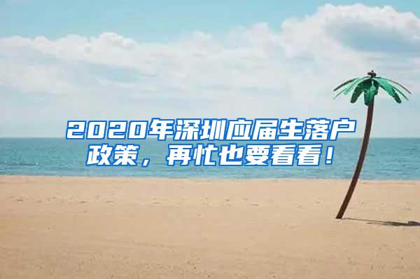 2020年深圳应届生落户政策，再忙也要看看！