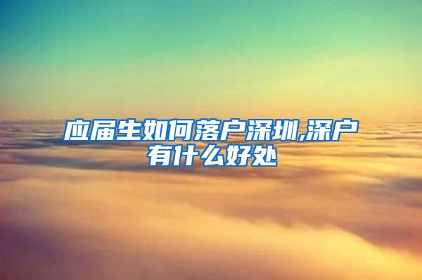 应届生如何落户深圳,深户有什么好处