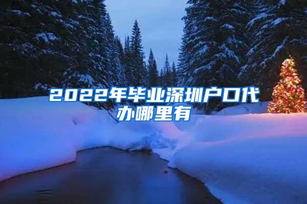 2022年毕业深圳户口代办哪里有