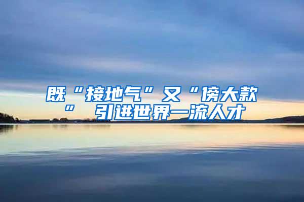 既“接地气”又“傍大款” 引进世界一流人才