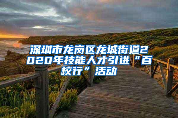 深圳市龙岗区龙城街道2020年技能人才引进“百校行”活动