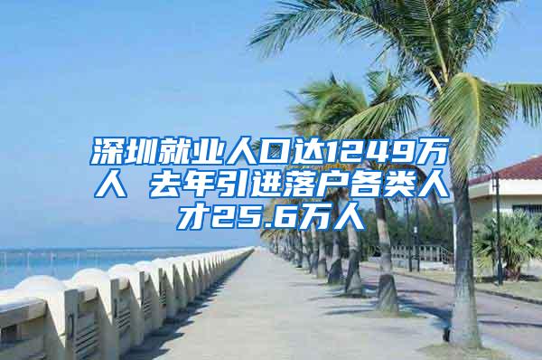 深圳就业人口达1249万人 去年引进落户各类人才25.6万人