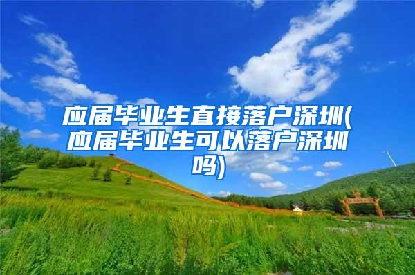 应届毕业生直接落户深圳(应届毕业生可以落户深圳吗)