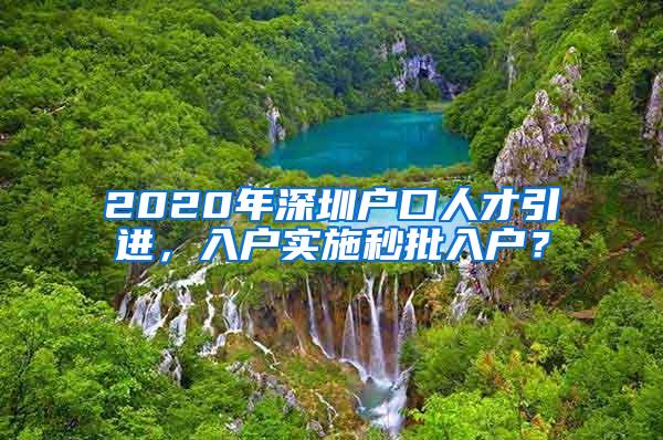 2020年深圳户口人才引进，入户实施秒批入户？