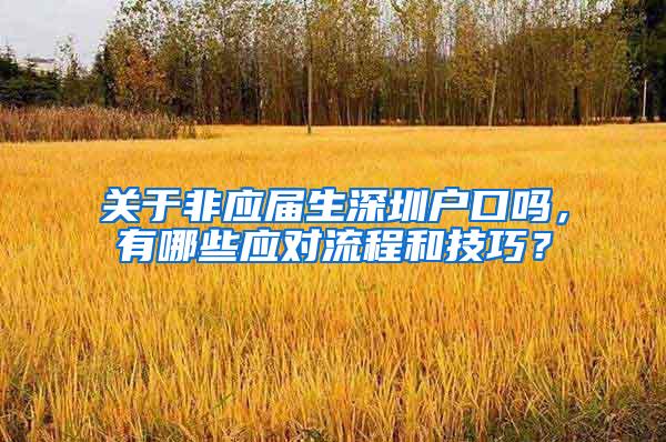 关于非应届生深圳户口吗，有哪些应对流程和技巧？