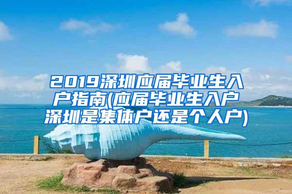 2019深圳应届毕业生入户指南(应届毕业生入户深圳是集体户还是个人户)