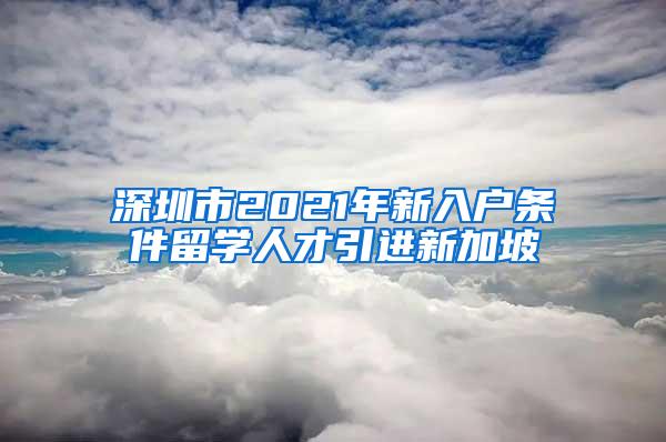 深圳市2021年新入户条件留学人才引进新加坡