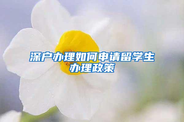 深户办理如何申请留学生办理政策